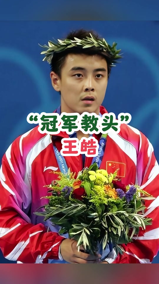 开云APP-奥地利乒乓球队绝地反击波兰乒乓球队，王皓惊艳世界的简单介绍