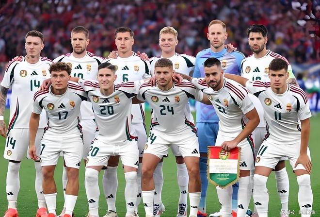 葡萄牙完胜塞内加尔，佩德里关键制胜的简单介绍