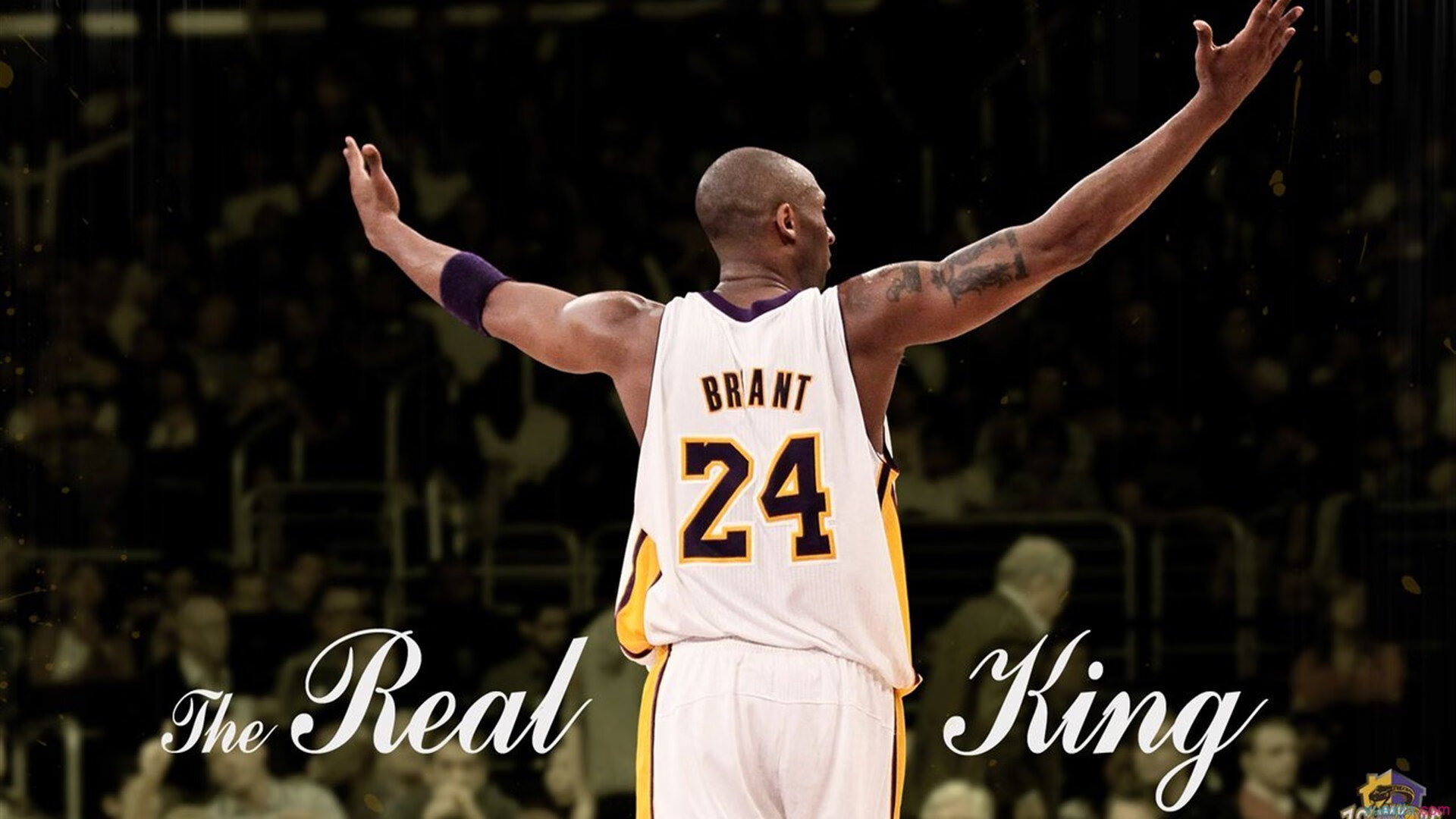 开云官网-逆转之夜的启示，从北京队到德甲争冠的竞技哲学