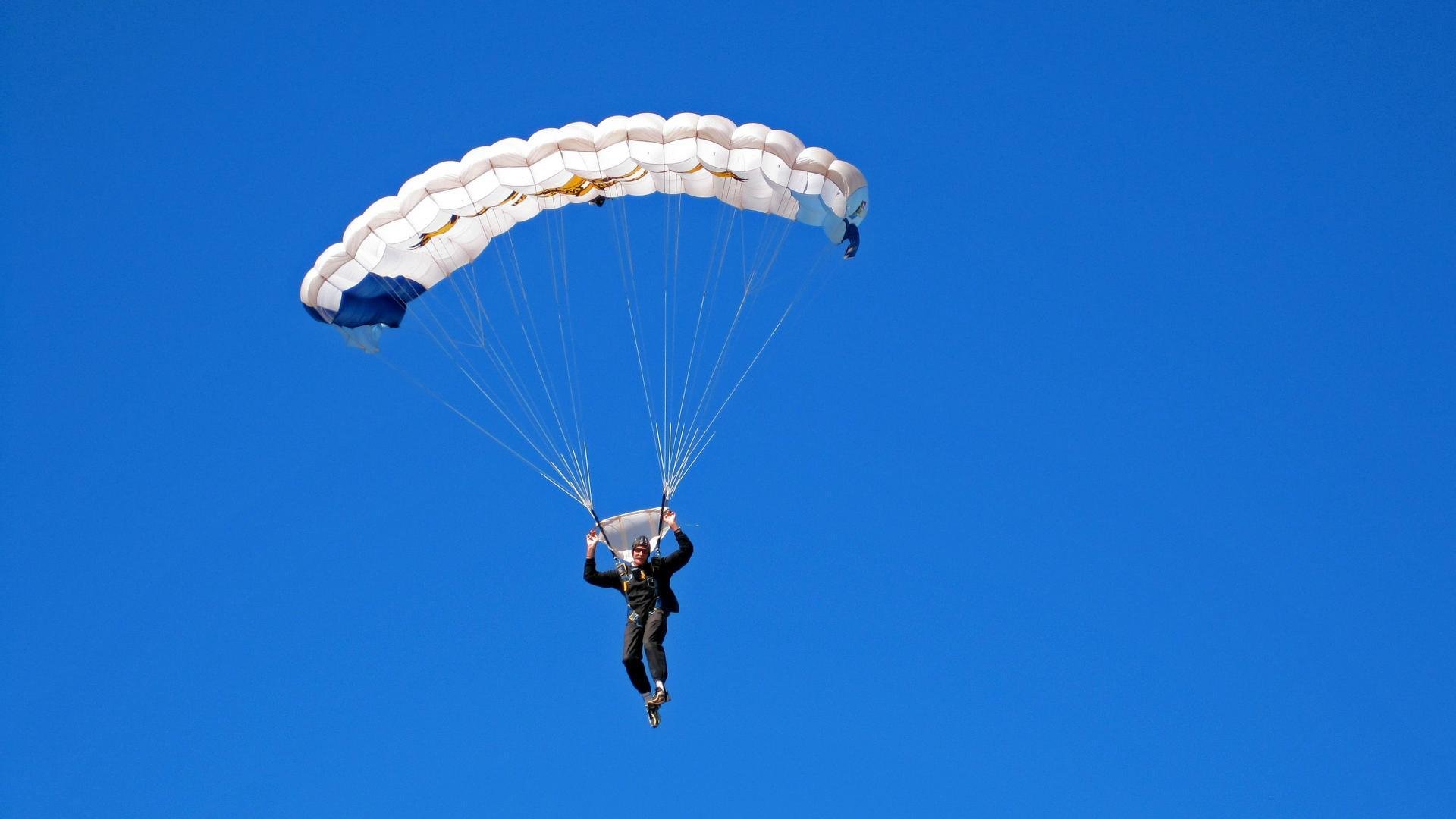 黄黑风暴席卷郁金香，格列兹曼的非典型关键先生之路